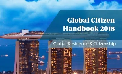 The Global Investor Handbook 2018